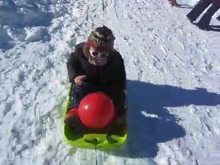 Luge