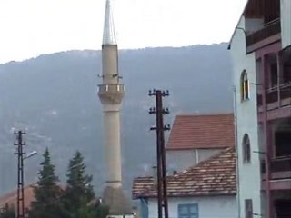 tozkan07 - CEVİZLİ AKSEKİ 08.08. 2005 - 1