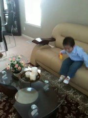 Gau Meo Chay Trong Nha