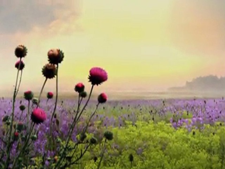 Chris Spheerish - friends and lovers