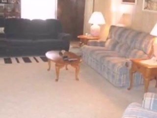 Homes for Sale - 872 E Roxanna Cir - Kankakee, IL 60901 - Co