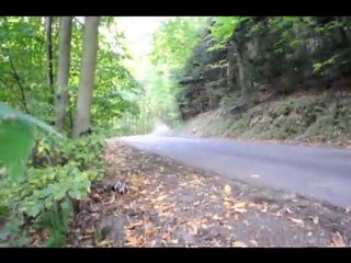 WRC 2010 Rallye de France ES4 Hohlandsbourg