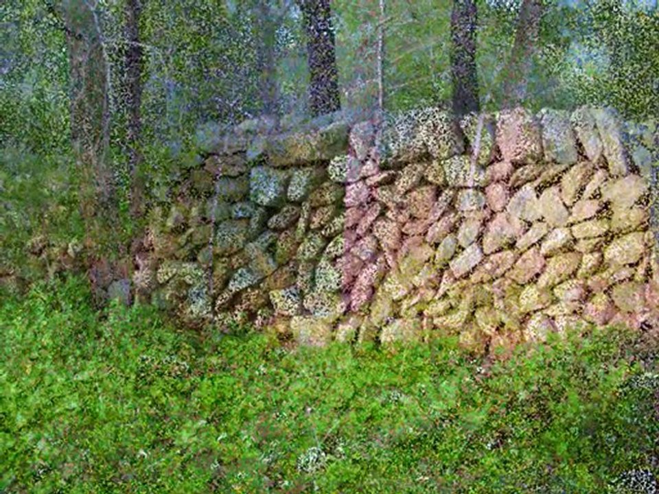 SOLEDAD - LADY HAGUA