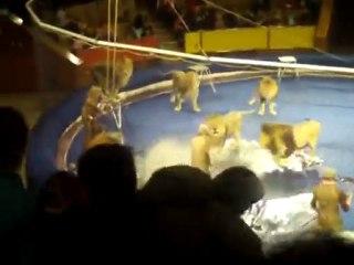 Sirkte korku dolu anlar