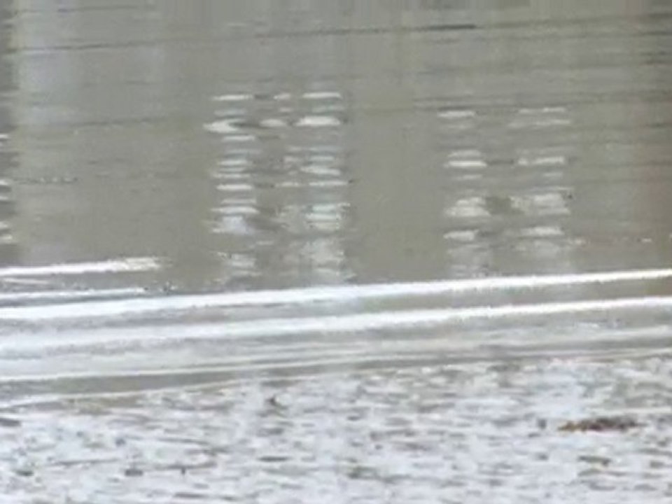 la journée Golfe Propre