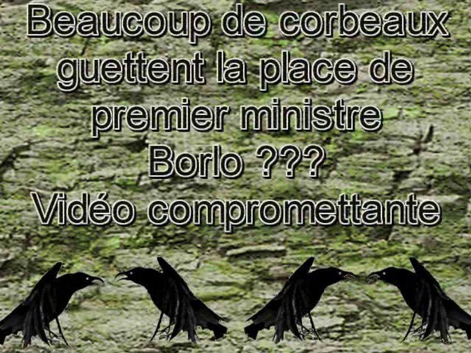 Borlo,premier ministre ???? Délire