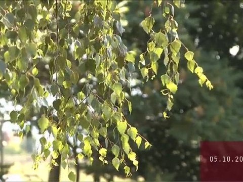 VUES SUR L'ACTU du 05 octobre 2010