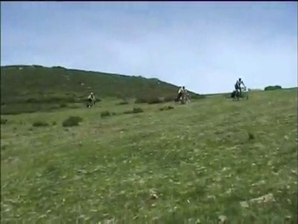 BABIA Y SOMIEDO 2006 4 de 4