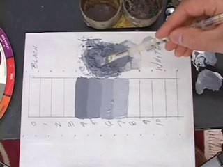 Munsell Grayscale Instructional DVD Vido