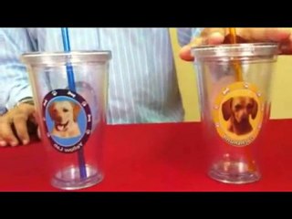 "Wholesale Dog Products" Plastic Cups