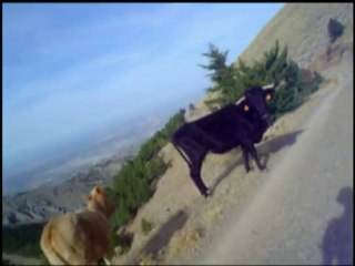 The Exploration (Jabalcuz)