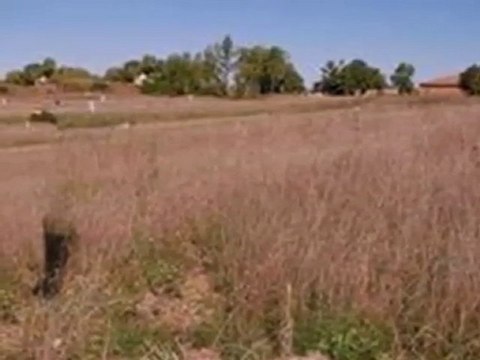 Homes for Sale - 8631 N 116th St - Milwaukee, WI 53224 - Col