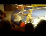 Ukraine - 4 lions attaque leur dresseur au cirque !!