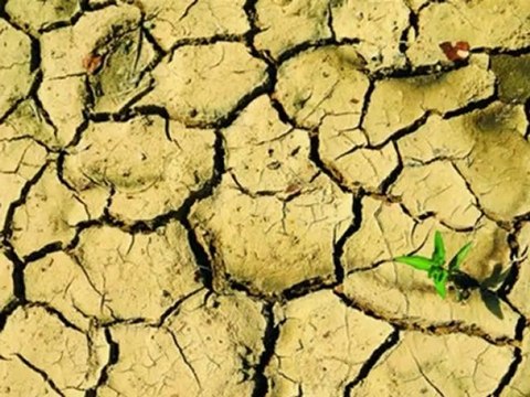 ABBAS TURAN - MUSTAFA'YA ÖĞÜT - (TAŞYÜREK SAZEVİ SUNAR)