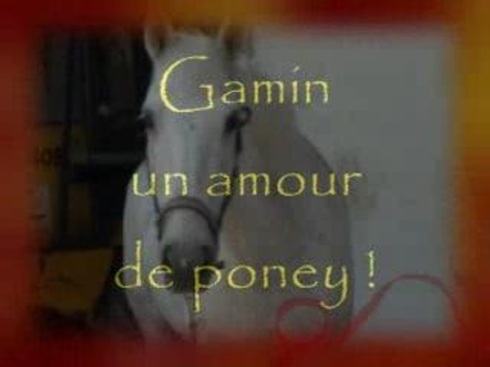 gam' 22.07 ( 1 )