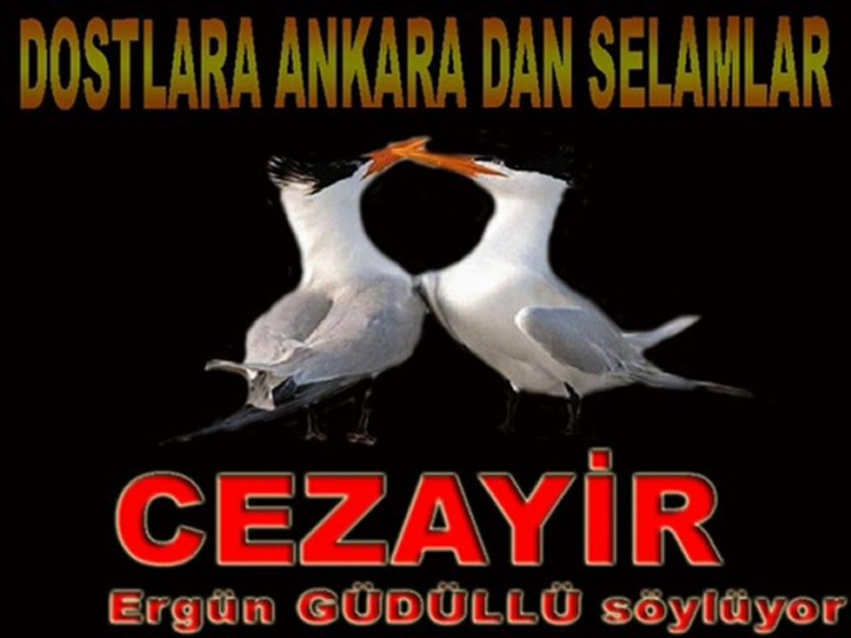 CEZAYİR-  ERGÜN GÜDÜLLÜ SÖYLÜYOR -www.haberamasya.com sunar