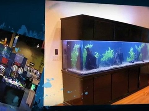 Aquarium Service & Maintenance in Malibu CA