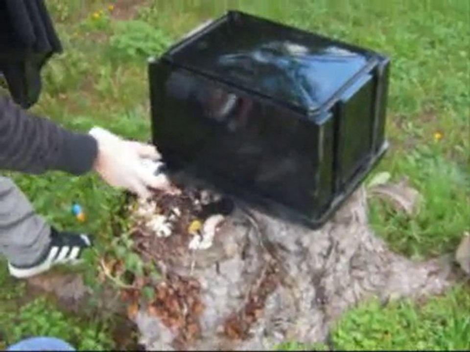 Murphy Magical Tour 2010 J4