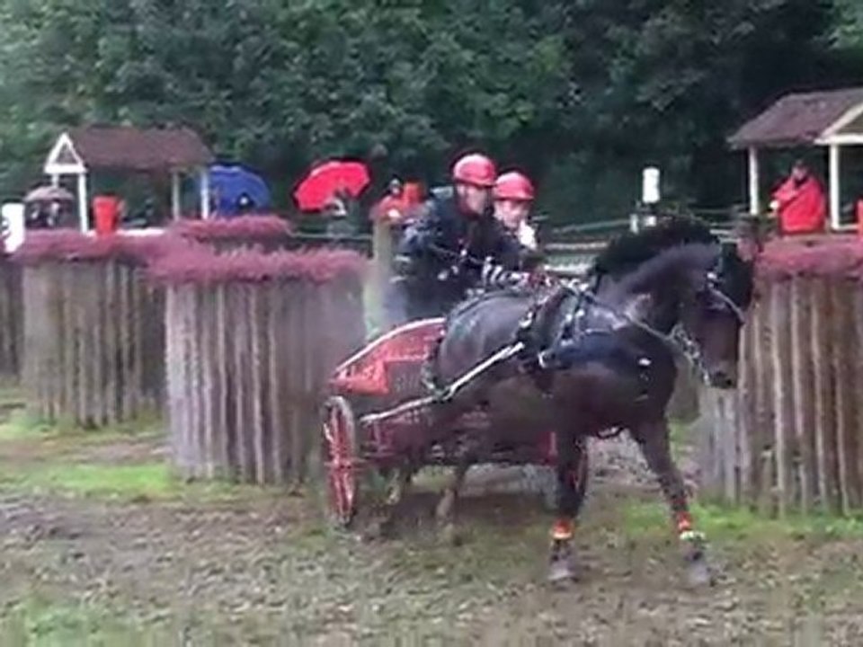 Championnat de Belgique d'attelage (Courrière 2010) (obs 4.)