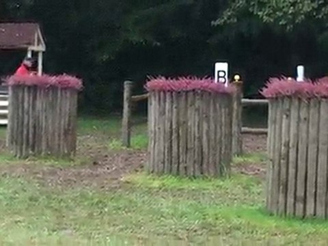 Championnat de Belgique d'attelage (Courrière 2010) (Obs. 4)