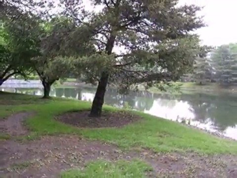 Homes for Sale - 717 Ascot Ct - Hoffman Estates, IL 60169 -