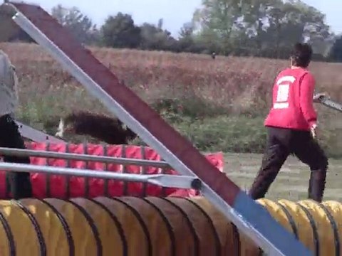 tango open plus cugnaux