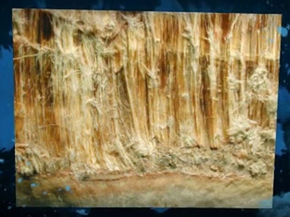 Asbestos Testing Anaheim CA