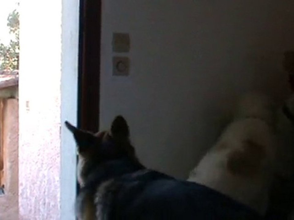 20101005144628