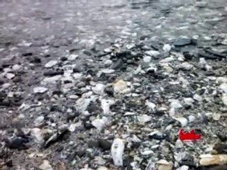 PLAGE 27 (Binic, septembre 2010)