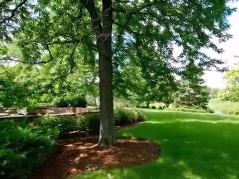 Homes for Sale - 1414 Kathryn - Lake Forest, IL 60045 - Erin