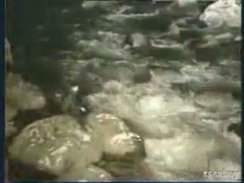 CENGİZ KURTOĞLU SEVİYORUM ORJINAL KLİP