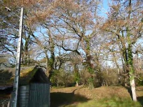 Vue exterieure, la foret de chènes et l'accès privé (isolé)