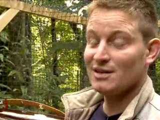 Puy du Fou : Un hiver à la fauconnerie