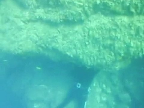 chasse sous marine CANNES 2010