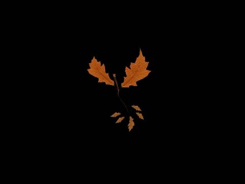 Essai vidéo Les rêves de sidonie koulleure-Compagnie Songes