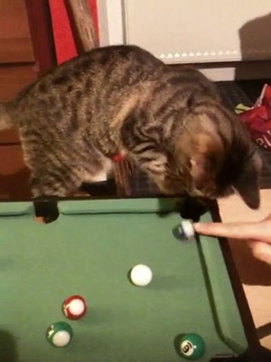 Léon champion du Monde de billard Américain