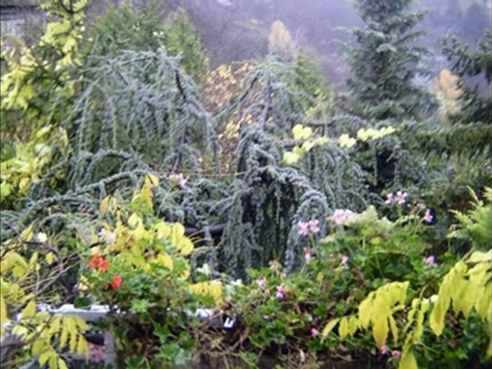 Vivaldi in Stuttgart