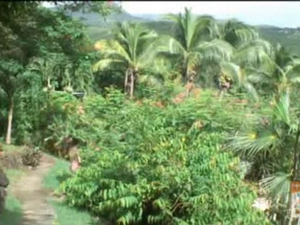 Hotel Guadeloupe Deshaies : Le rayon vert