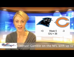 Panthers vs Bears Free NFL Online Sportsbook Odds