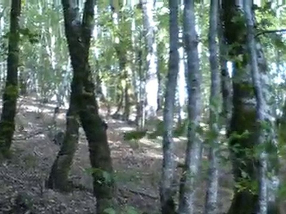 Dernière grimpette!