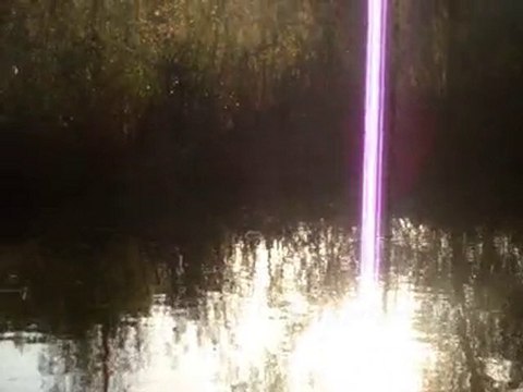 Marais de Vaugrenier, chasses, oiseaux, à la tombée du jour