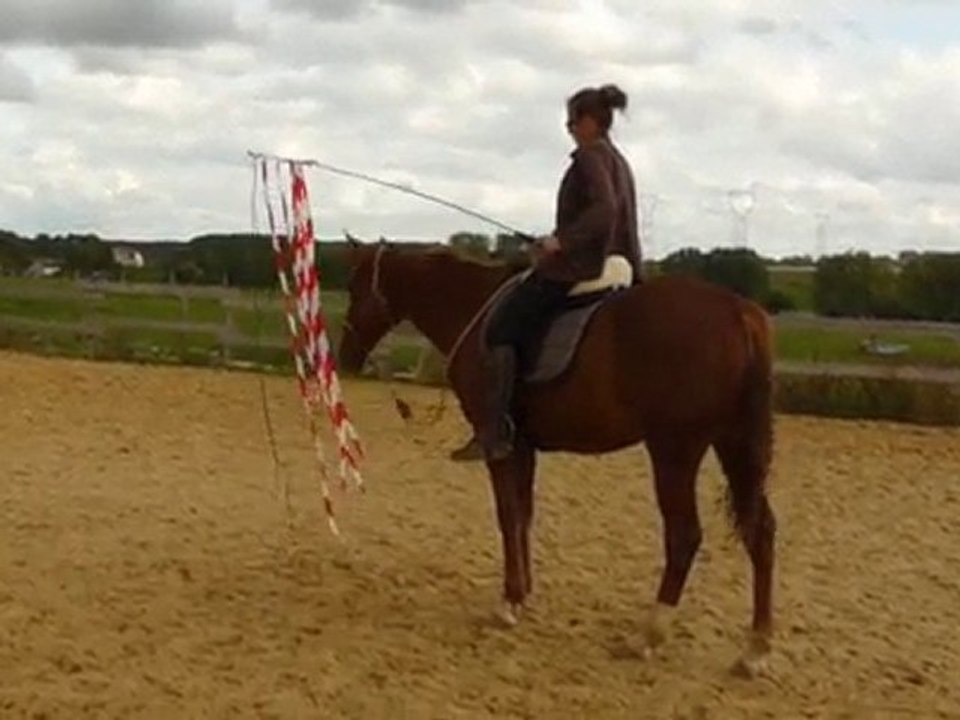 Defi amitie Partie 2