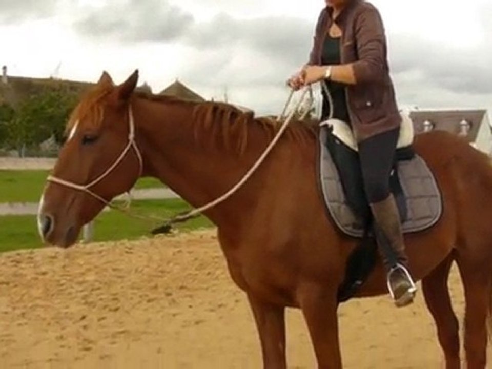 Flexions encolure en selle_6 octobre 2010