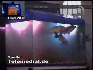 Kanal Telemedial - Big Fish 13 - April 22, 2010
