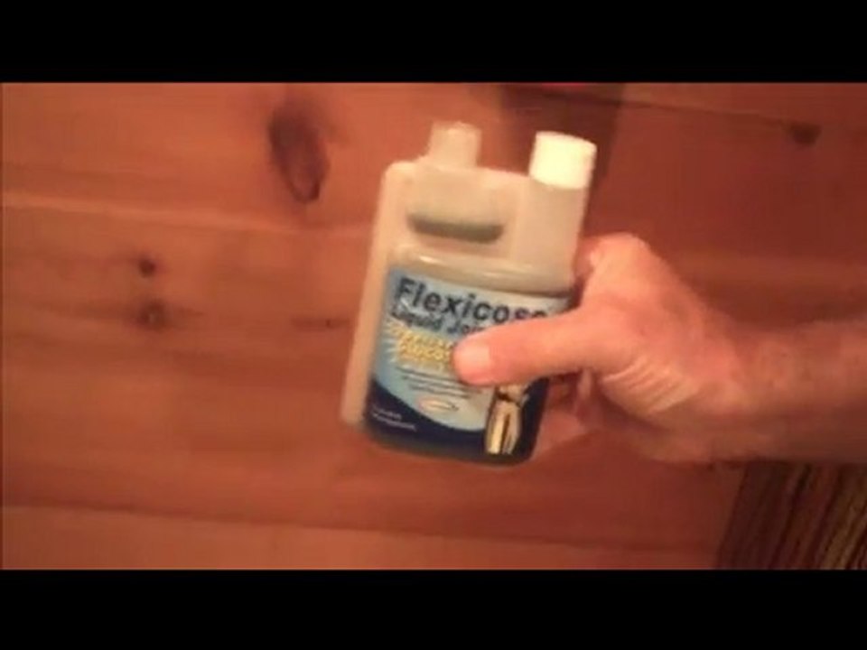 Flexicose Glucosamine Liquid for Dog Arthritis Pain