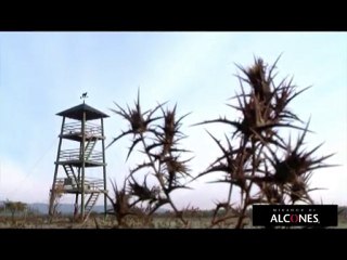 PAISAJE FUNDO BANDURRIAS PORTUGUÉS