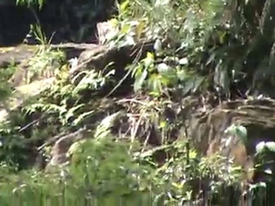 cachoeira 15 quedas (39)