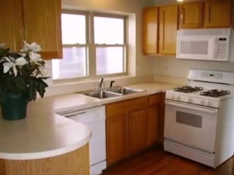 Homes for Sale - 4214 S Langley Ave - Chicago, IL 60653 - Co