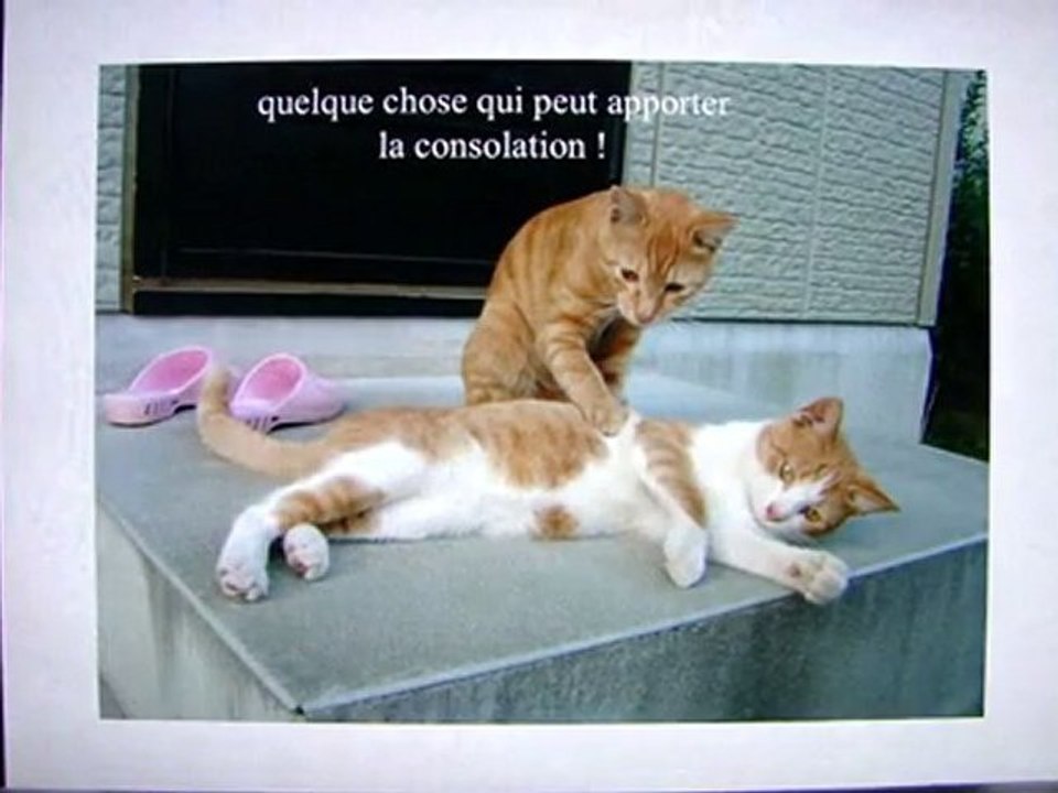Quoi de plus sublime