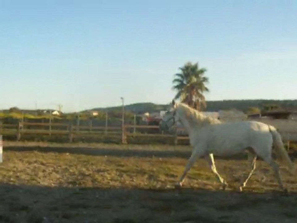 chamata